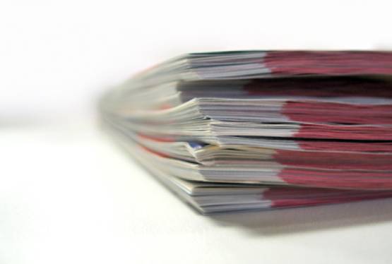 24 czerwca zakończył się tegoroczny nabór wniosków o przyznanie premii młodym rolnikom