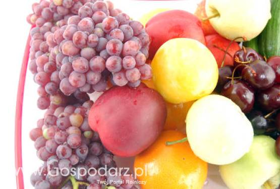 System integrowanej produkcji