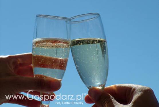 Zaledwie dwa procent polskich kobiet pije alkohol w sposób szkodliwy