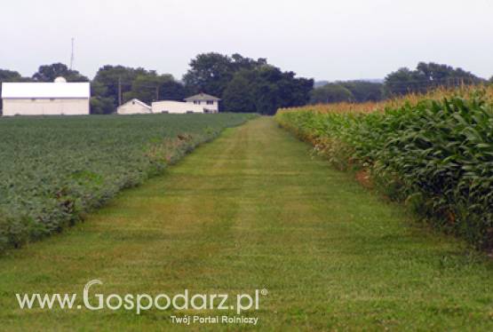 Udostępnianie wykazu producentów w rolnictwie ekologicznym