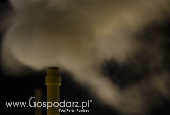 Emisja CO2 na skutek ekspansji palmy olejowej większa niż zakładano