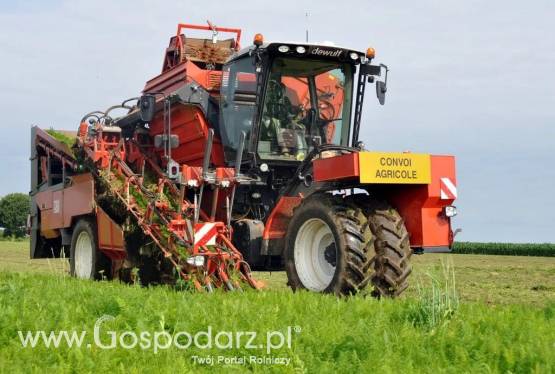Kombajn do marchwi ZB II DEWULF