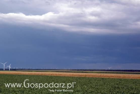 Jak to robią inni, czyli małe przetwórstwo za granicą