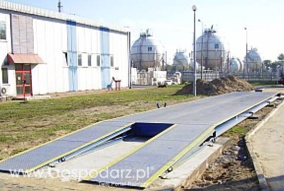 Elektroniczna waga samochodowa Rooster 60