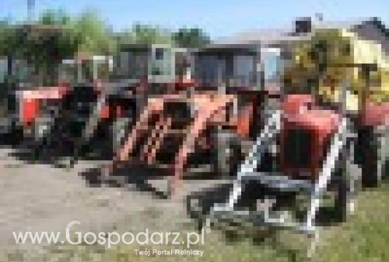 Ciągniki MF, kilka sztuk, różne modele, bardzo ładne