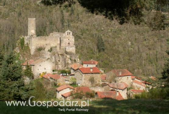 KIB partnerem Krajowej Sieci Obszarów Wiejskich