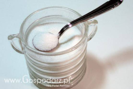 Są licencje na bezcłowy cukier