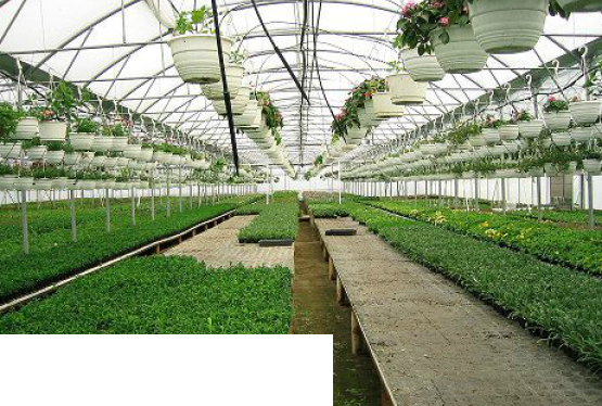 Tunele foliowe Geothermiki