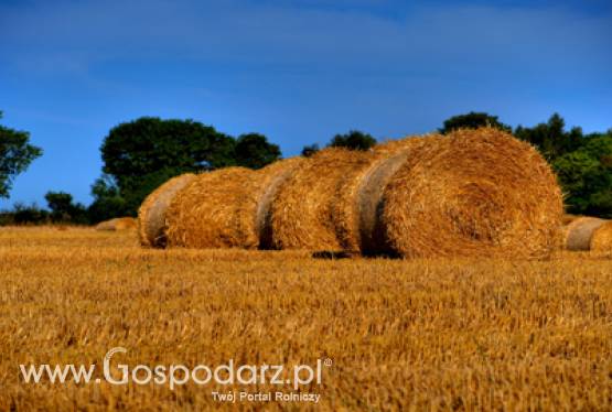 Spotkanie z Pracodawcami RP