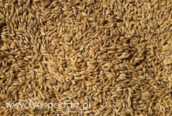 Ceny zbóż i oleistych na giełdach światowych–05.09.2011