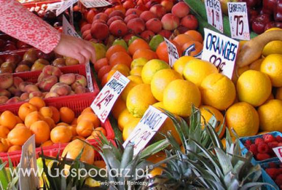 Izrael – Mniejszy eksport owoców i warzyw