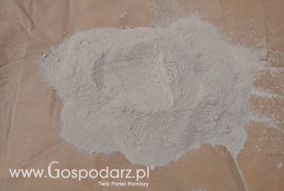 Kreda Pastewna, mączka, piasek , grys dla kur niosek i nie tylko