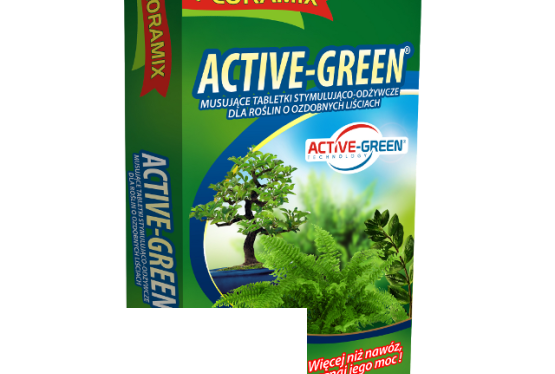 ACTIVE-GREEN® Musujące Tabletki dla Roślin o Ozdobnych Liściach
