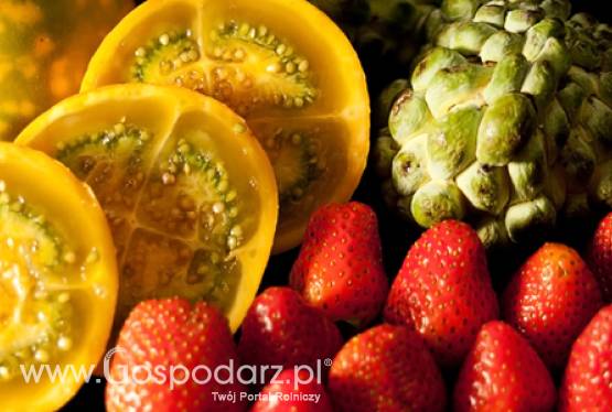 Informacja zbiorcza o wynikach kontroli planowej w zakresie jakości handlowej świeżych owoców i warzyw