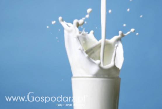 Mleko ciągle drożeje