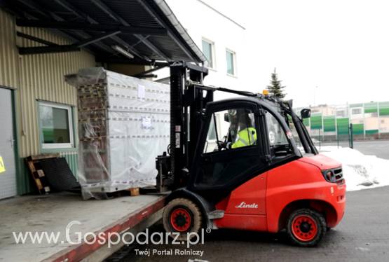 Wózek widłowy wynajem wózków widłowych wózki widłowe