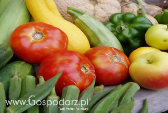 Spotkanie z Ambasadorem Japonii