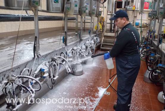 Usługa mycia hali udojowej z zastosowaniem aktywnych pianek