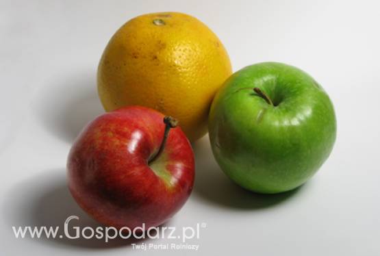 Liczba porcji owoców i warzyw otrzymywanych przez jedno dziecko