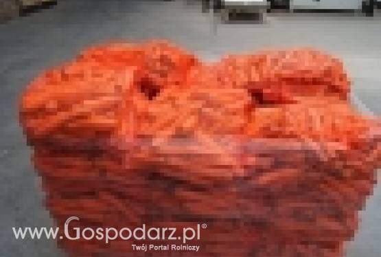 Marchew worek raszel 10 kg