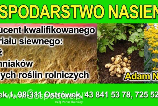 Kwalifikowany Materiał Siewny  Oferta Nasienna Jesień 2014