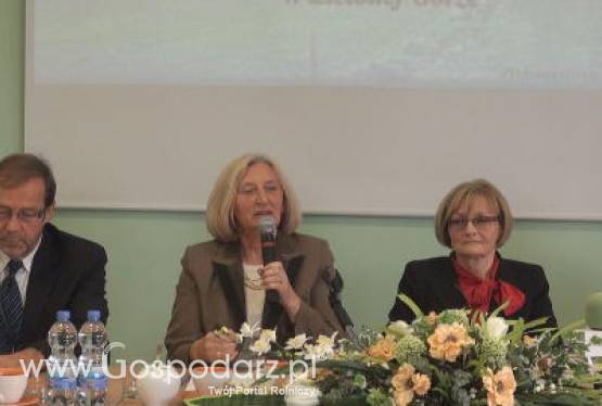 Można już składać wnioski o wsparcie finansowe na działalność nierolniczą