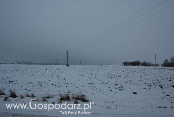 gmina Kozłów, powiat miechowski - działka o pow. 1.7 ha do sprzedania