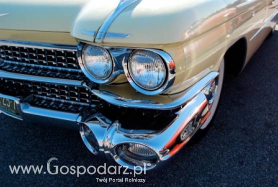 Dym spalinowy jest bardziej szkodliwy niż narkotyki i alkohol