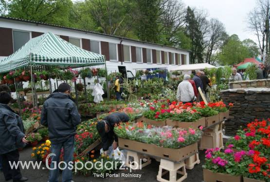 Targi Rolno - Kwiatowe w Strzelinie