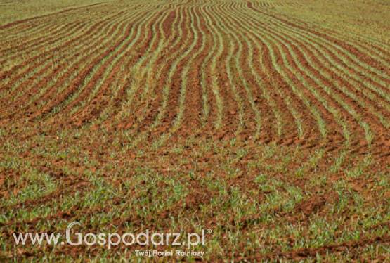 Komunikat w sprawie pomocy dla rolników