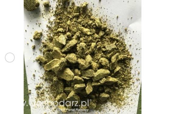 Sprzedamy makuch rzepakowy