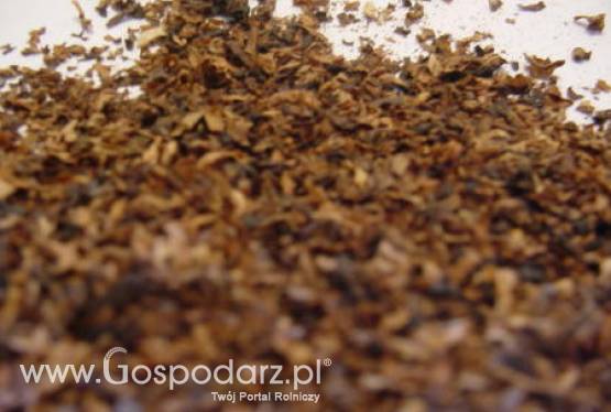 Wzrost eksportu polskich używek