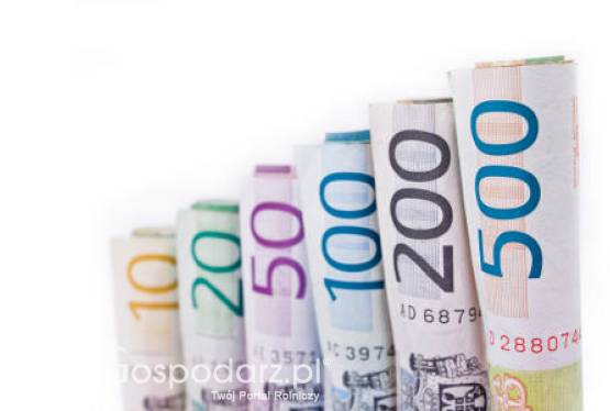 6,35 miliarda złotych przekazała ARiMR rolnikom w ramach dopłat bezpośrednich za 2010 r.