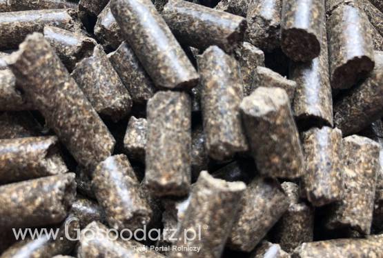 ŚRUTA SŁONECZNIKOWA Granulowana - białko > 39%