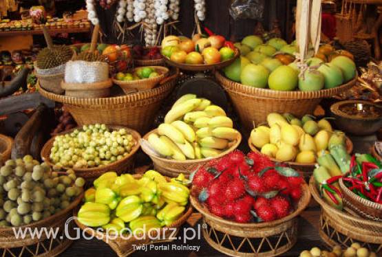 Brazylia – Rekordowe zbiory owoców