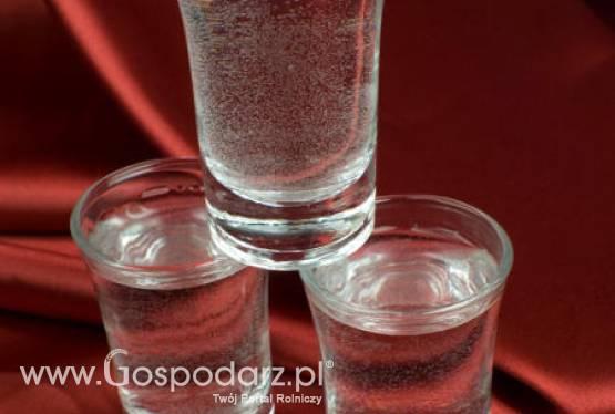 Polska wódka podbija świat