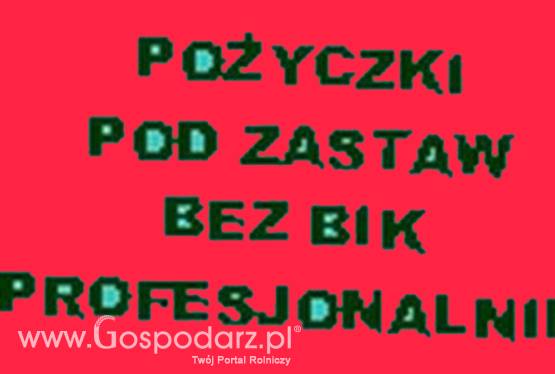 PRYWATNE POŻYCZKI BEZ BIK POD ZASTAW 2%