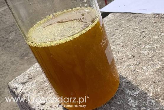 Olej rzepakowy nierafinowany do 300 PPM
