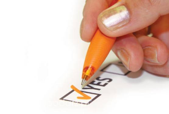 Informacja Głównego Lekarza Weterynarii w sprawie kontroli przedsiębiorstw sektora mięsnego, mleczarskiego i paszowego przez inspektorów Unii Celnej