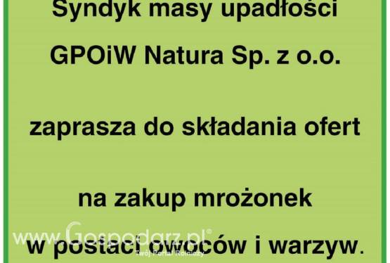 Syndyk sprzeda mrożonki w postaci warzyw i owoców