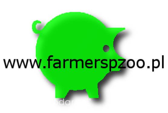 SPRZEDAŻ WARCHLAKÓW!!! PIERWSZA JAKOŚĆ