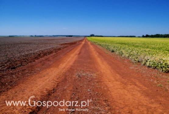 Odnowa i rozwój wsi