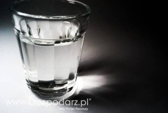 O europejskiej polityce alkoholowej