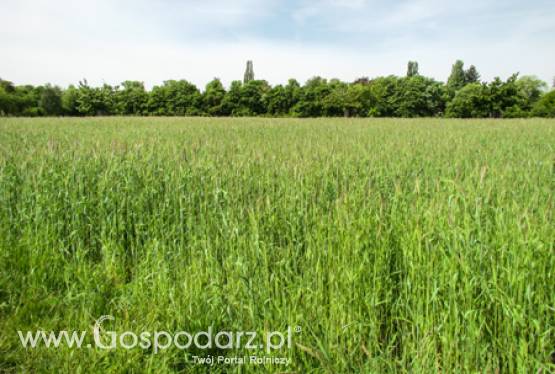 Spotkanie z rolniczymi organizacjami i związkami zawodowymi