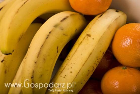 Stawki płatności bezpośrednich za rok 2011 będą przeliczane wg kursu 4,4050 zł za euro