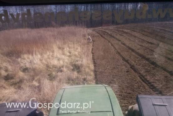 Rekultywacja nieuzytkow rolnych,KORZENI