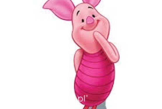 SPRZEDAM PROSIAKI 30 SZT