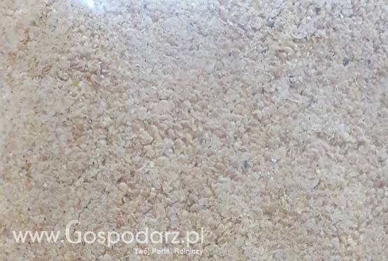 Otręby z prosa pochodzące z produkcji spożywczej