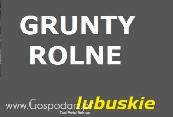 Grunty rolne 100-250 ha w lubuskim KUPIMY