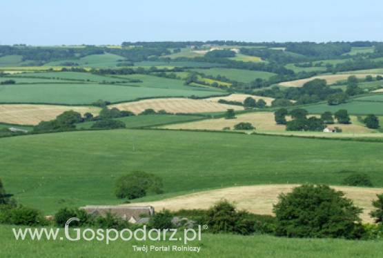 Priorytety w zakresie rolnictwa przedstawione kolejnej komisji PE